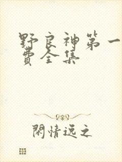 野良神第一季免费全集