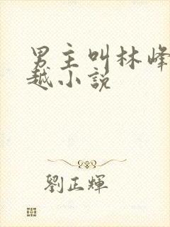 男主叫林峰的穿越小说