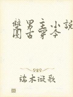 双男主小说娱乐圈古穿今