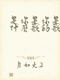 是你是你是你是什么歌的歌词