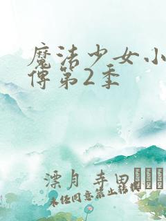 魔法少女小圆外传第2季