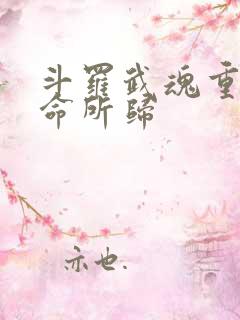 斗罗武魂重瞳天命所归