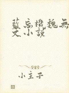 蓝忘机魏无羡原文小说