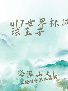 u17世界杯网球王子