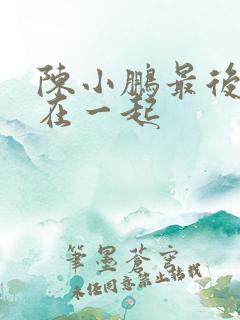 陈小鹏最后和谁在一起