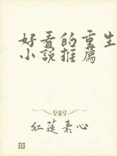 好看的重生官场小说推荐