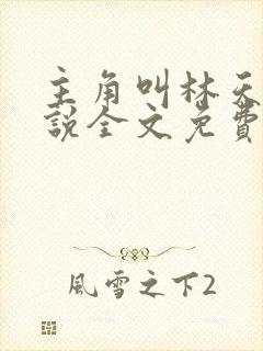 主角叫林天的小说全文免费阅读