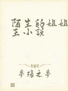 陌生的姐姐双女主小说