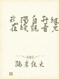 我独自升级动漫在线观看免费