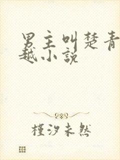 男主叫楚青的穿越小说