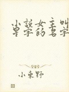 小说女主叫带有星字的名字