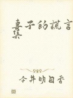 妻子的谎言共几集