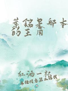 叶铭是哪本小说的主角