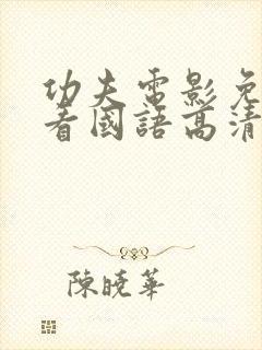 功夫电影免费观看国语高清