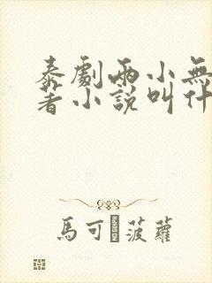 泰剧两小无拆原著小说叫什么