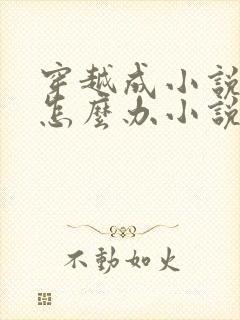 穿越成小说反派怎么办小说