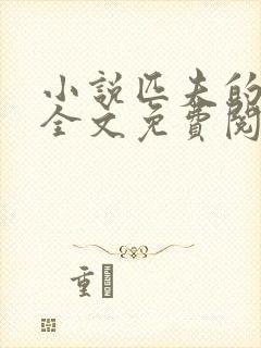 小说匹夫的逆袭全文免费阅读免费