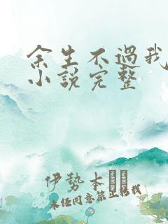 余生不过我爱你小说完整