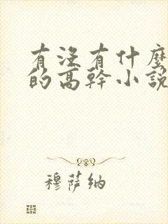 有没有什么好看的高干小说