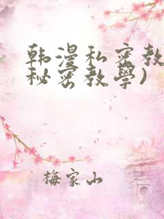 韩漫私密教学(秘密教学)