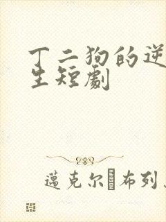 丁二狗的逆袭人生短剧