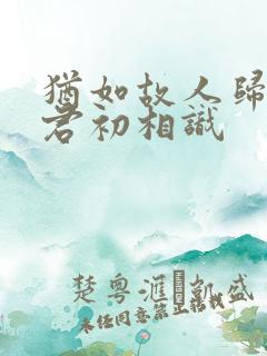 犹如故人归,与君初相识