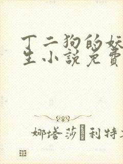 丁二狗的妖孽人生小说免费阅读