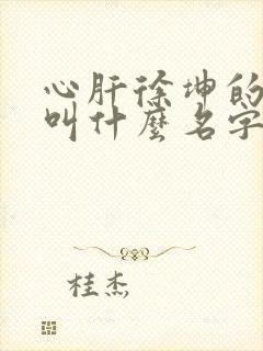 心肝徐坤的小说叫什么名字