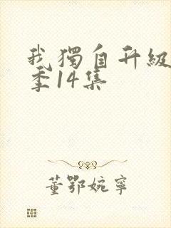 我独自升级第二季14集