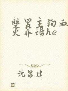 双男主狗血追妻火葬场he