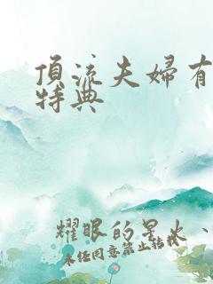 顶流夫妇有点甜特典