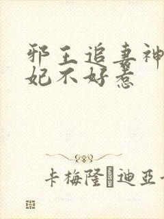 邪王追妻神医狂妃不好惹