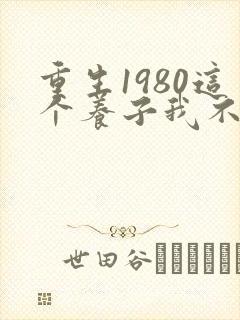 重生1980这个养子我不当了短剧免费观看