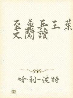 至尊兵王叶枫全文阅读