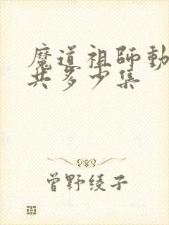 魔道祖师动漫总共多少集