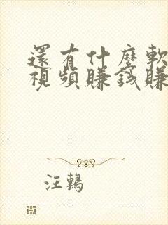 还有什么软件刷视频赚钱赚的多