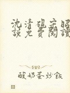 沈清砚宋昭汐小说免费阅读最新章节