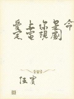 爱上你是命中注定电视剧