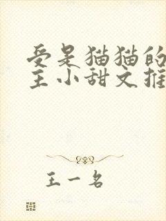 受是猫猫的双男主小甜文推荐