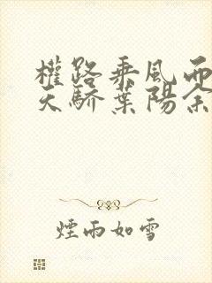 权路乘风而起化天骄叶阳余秋水小说