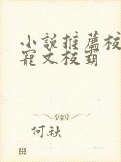 小说推荐校园甜宠文校霸