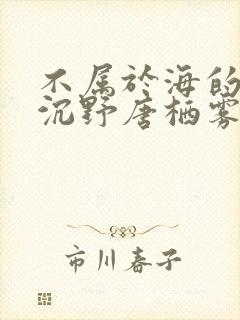 不属于海的风靳沉野唐栖雾小说