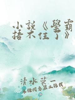 小说《学霸马甲捂不住了》