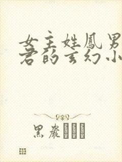 女主姓凤男主姓君的玄幻小说