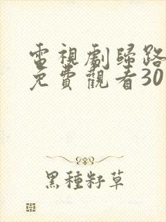 电视剧归路全集免费观看30集完整版