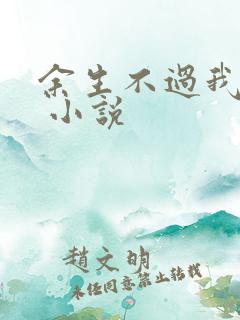 余生不过我爱你 小说