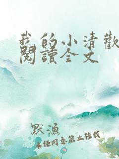 我的小清欢在线阅读全文