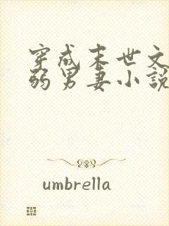 穿成末世文的病弱男妻小说推荐