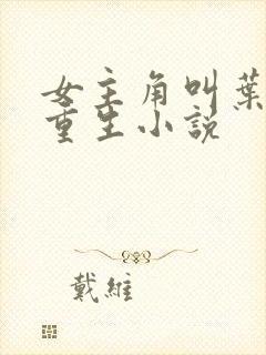 女主角叫叶薇的重生小说