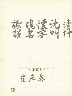 谢砚怀沈清筠小说名字叫什么